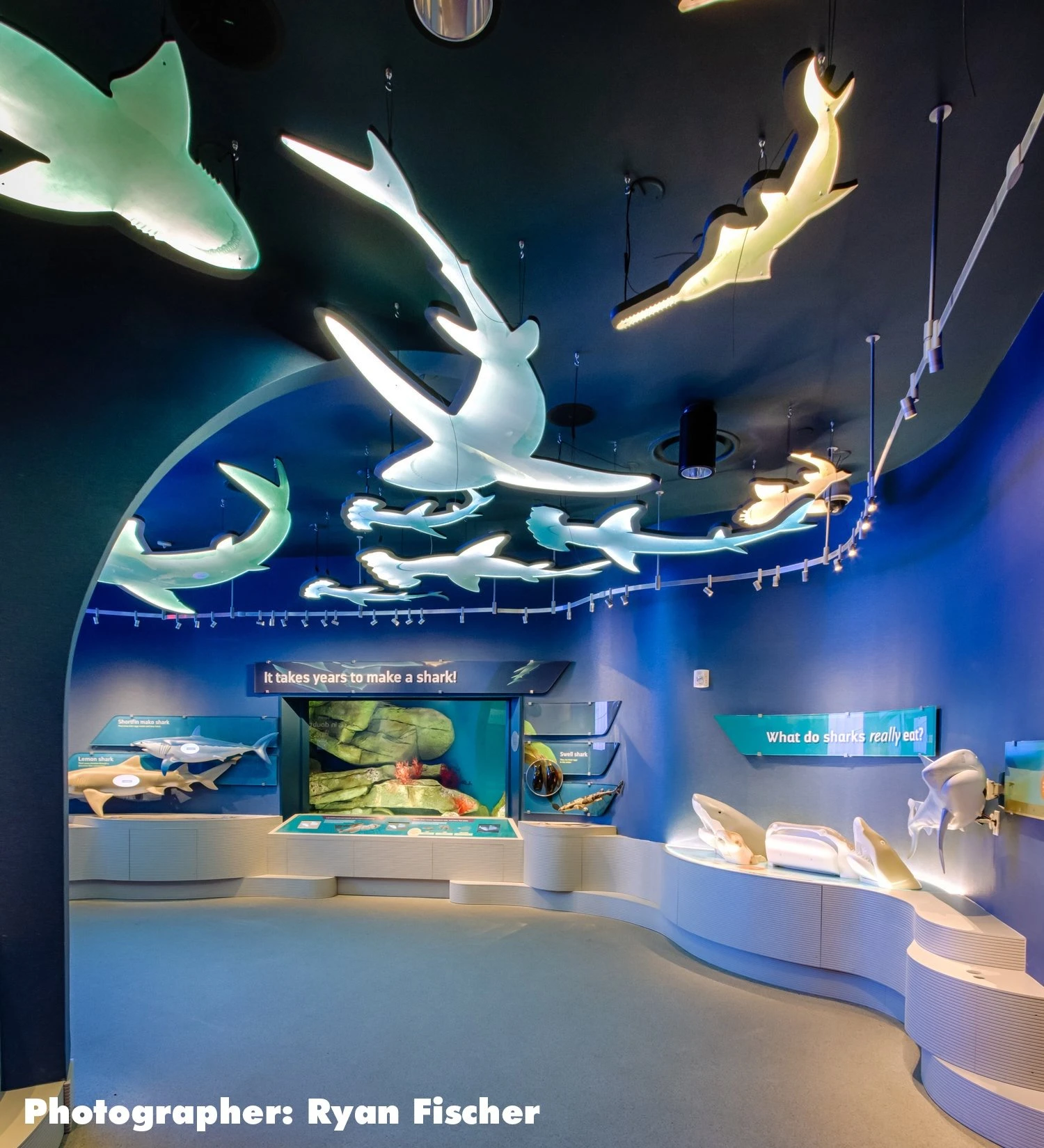 Ocean Wonders shark exhibit