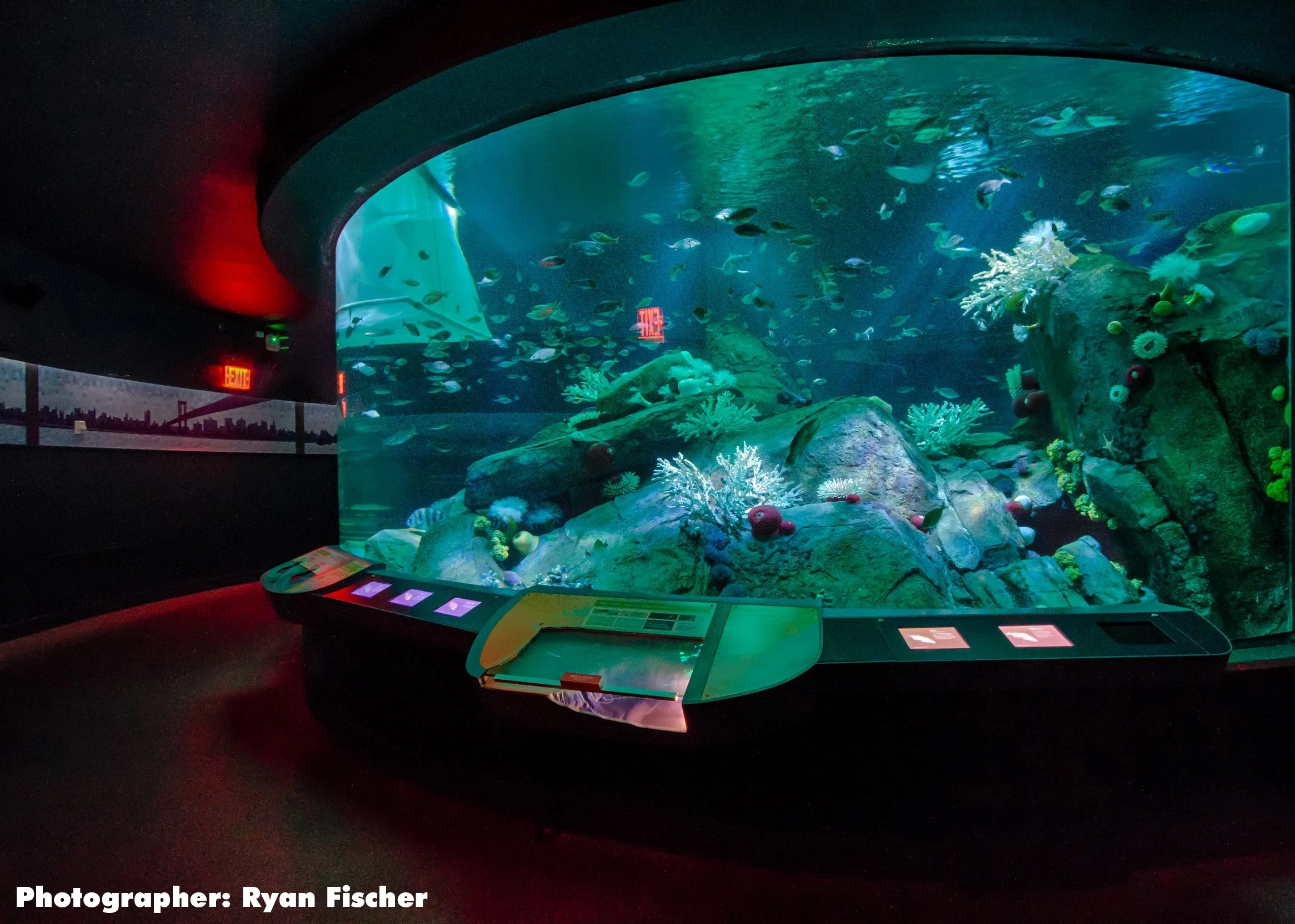 Ocean Wonders aquarium exhibit