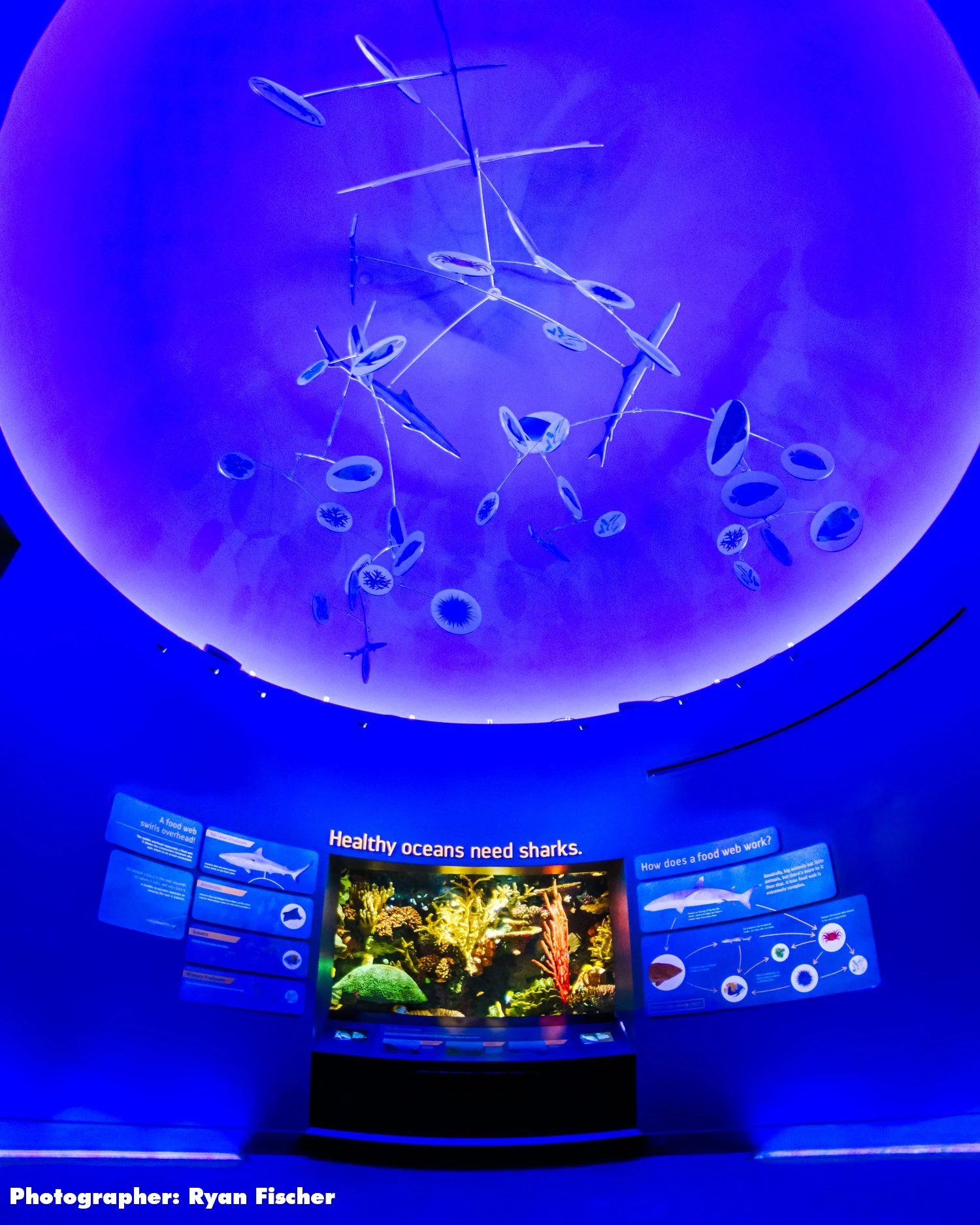 Ocean Wonders shark exhibit 2